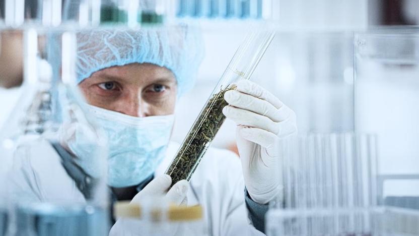 Build Industry-Specific Skills