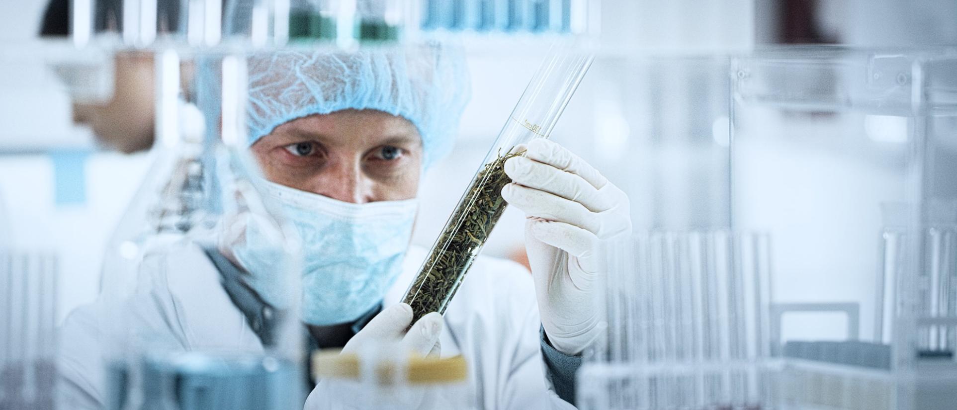 Pharmaceutical Sciences, MS