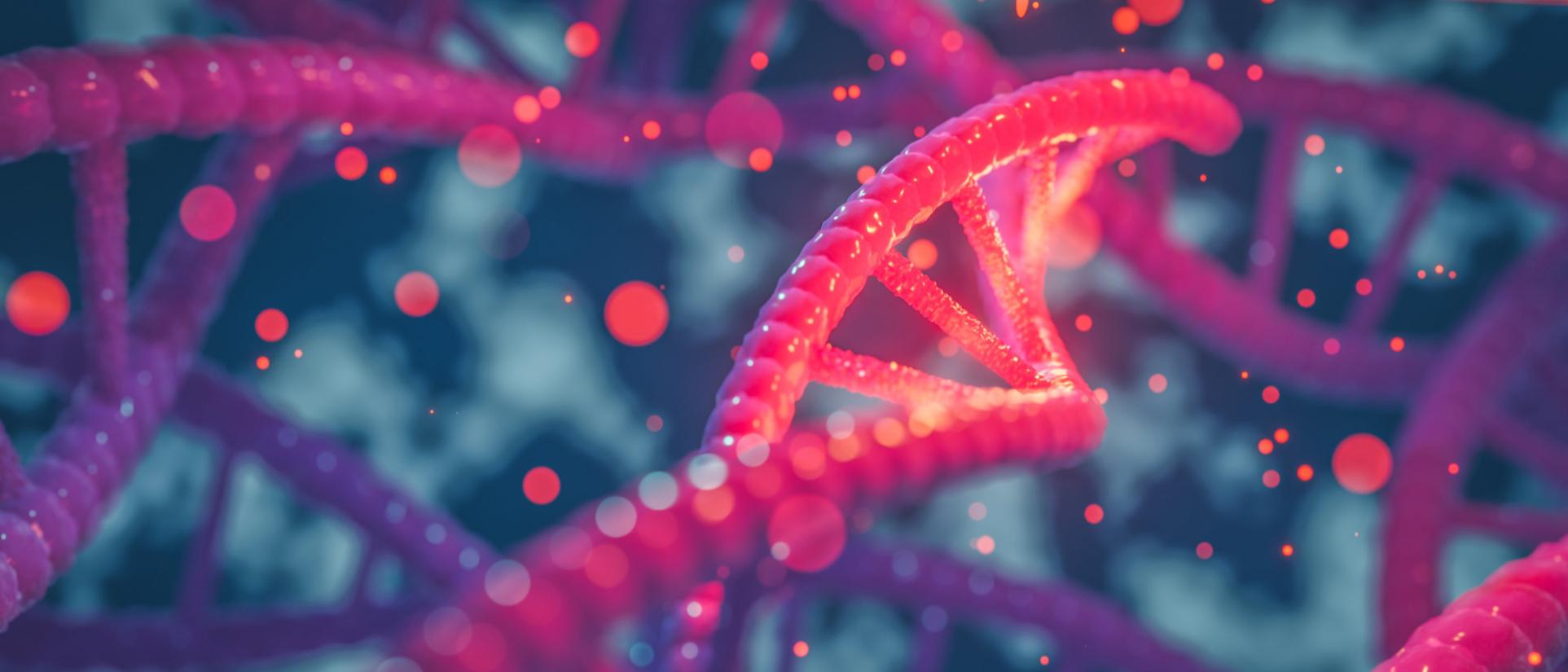 Personalized and Genomic Medicine Graduate Certificate