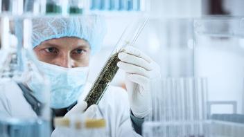 Pharmaceutical Sciences, MS