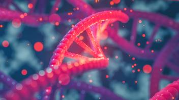 Personalized and Genomic Medicine Graduate Certificate